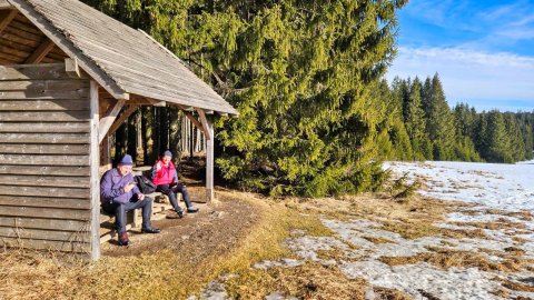 Běžky Šumava – bsum-25-01