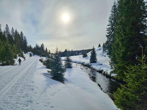 Běžky Šumava – bsum-25-10