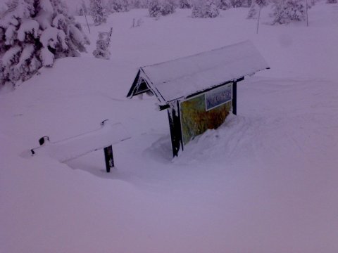 Velikonoce 2008 – vel08-02