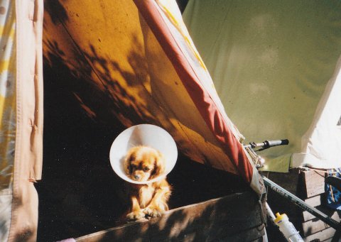 Vandr 2003 – v03-04