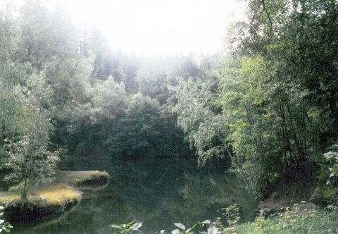 Vandr 2001 – v01-14