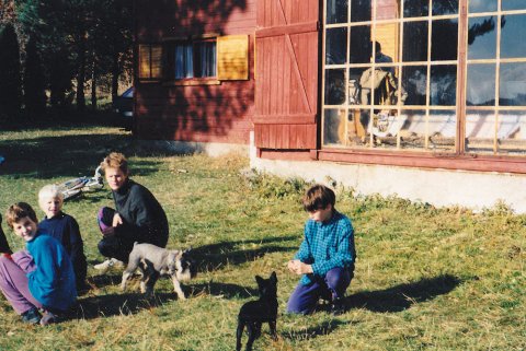 Podzimní Buková 1994 – buk94p-01