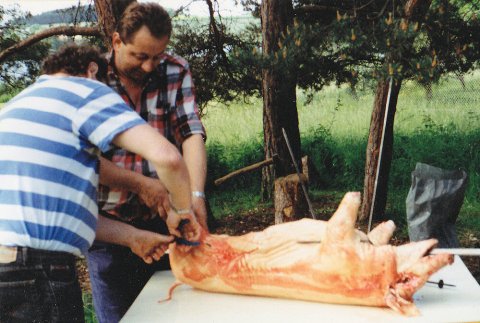 Prase na Bukové 1994 – buk94j-01