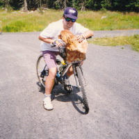 Pozor - transport živých zvířat