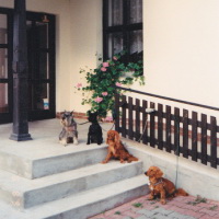 Aby vám kost zaskočila potvory, se ládujete a my tu čekáme